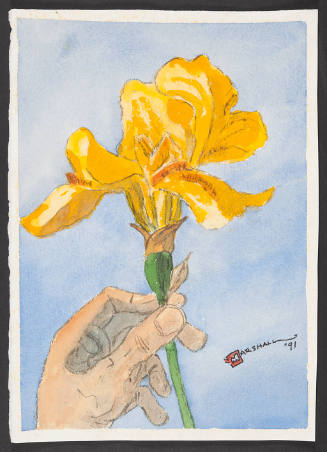 Yellow Iris