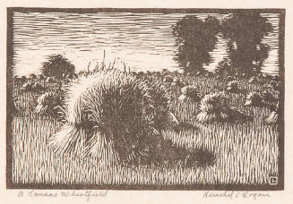 A Kansas Wheatfield