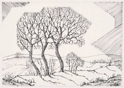 Study for Three Trees