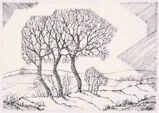 Study for Three Trees