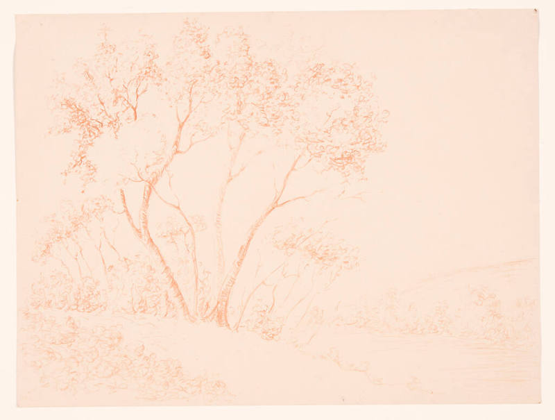 Title unknown (trees and hills)