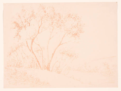 Title unknown (trees and hills)