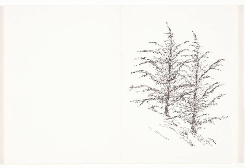 Christmas card (two pines)