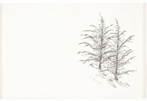 Christmas card (two pines)