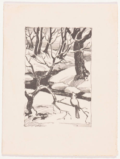 Christmas card (winter scene with cardinal)