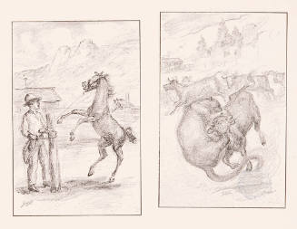 My Friend Flicka page proofs (Ken and Colt/ Wildcat Attacks Heifer)