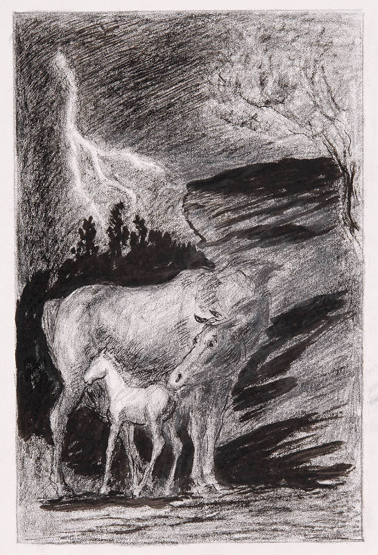 Mare and Foal in Thunderstorm