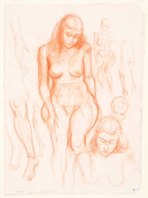 Nude Studies Female