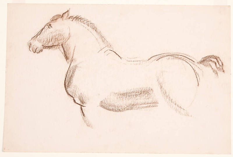 Horse Study