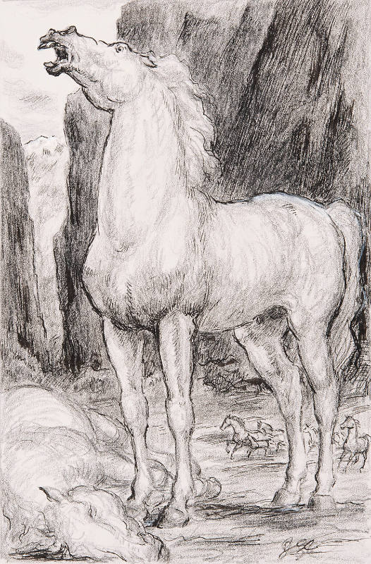 Thunderhead and the Albino, illustration study