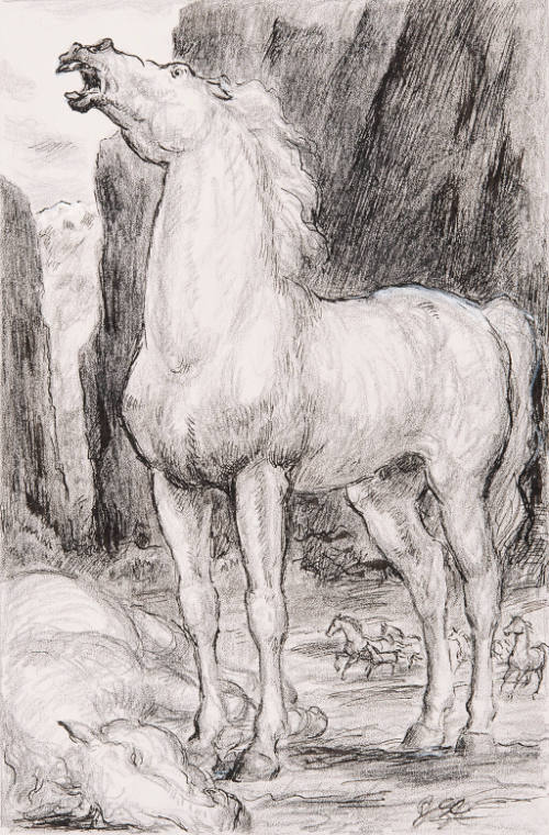 Thunderhead and the Albino, illustration study