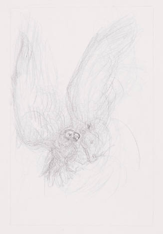 Rough Sketch for Goblin and Eagle