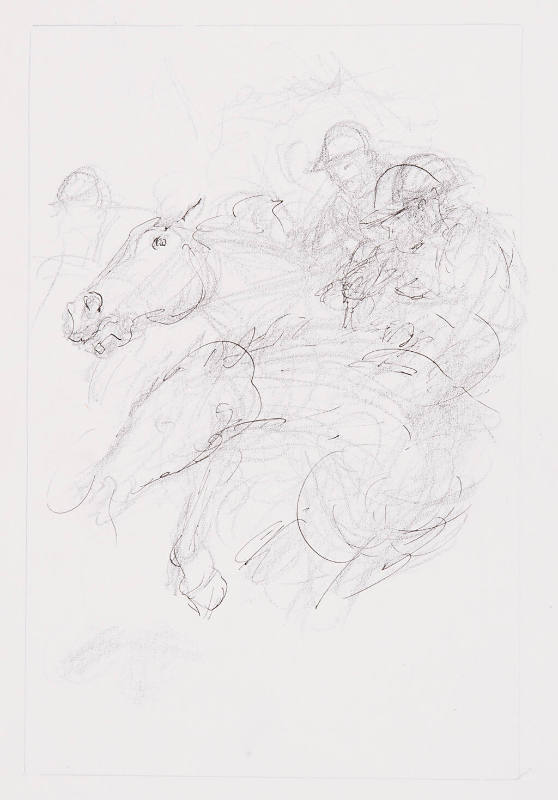 Horse & Riders Study