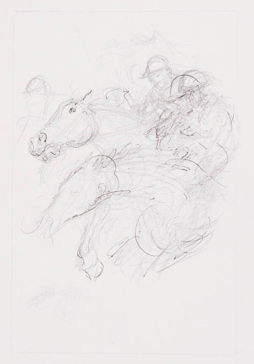 Horse & Riders Study