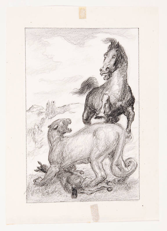 Study for Wildcat Kills Foal