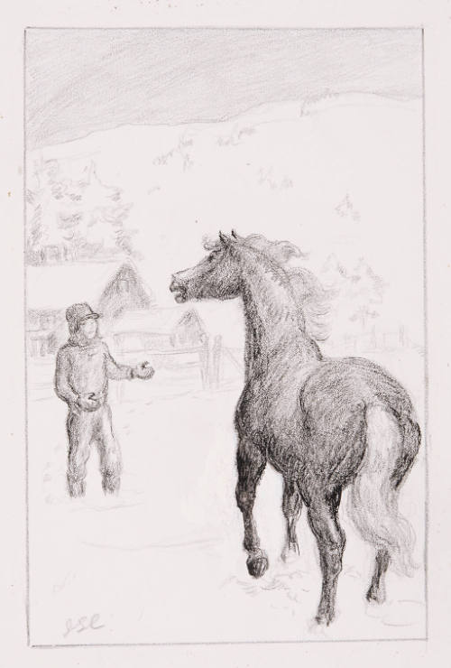 Study for Ken and Flicka