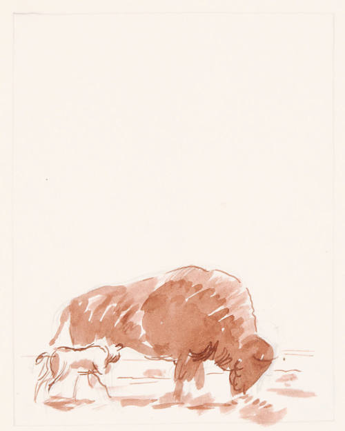 Buffalo and Calf