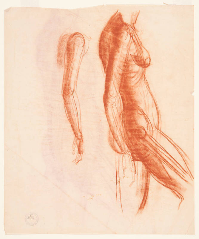 Sketch of Nude