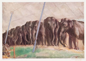 Elephants at the Circus