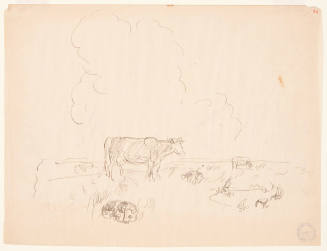 Sketch of Cows