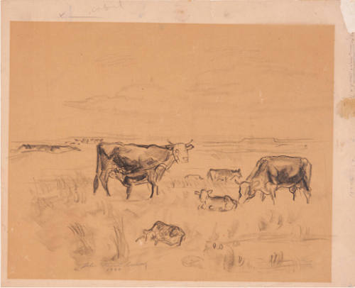 Cow Scene