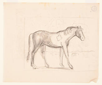 Sketch of Horse