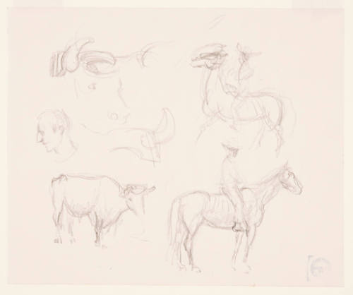Sketch- Cow Head/ Man's Head/ Riders