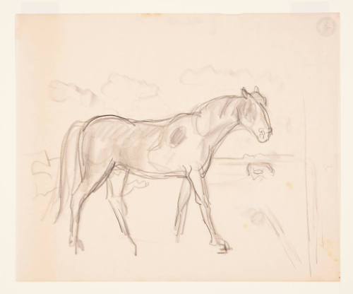 Sketch of Horse