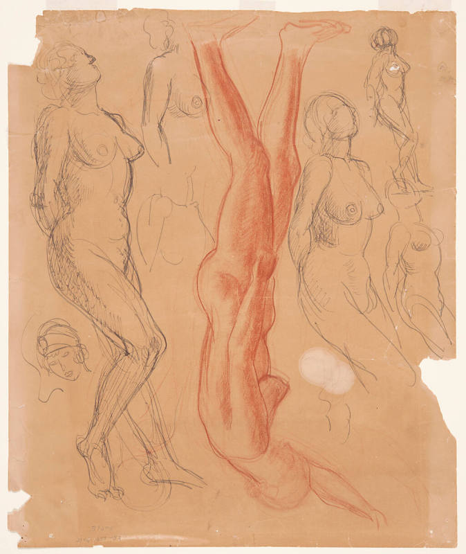 Nude Studies