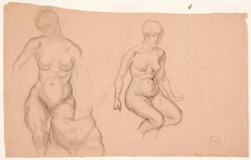 Female Nude Study