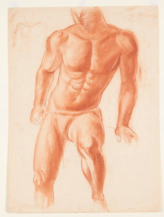 Male Anatomy No. 2