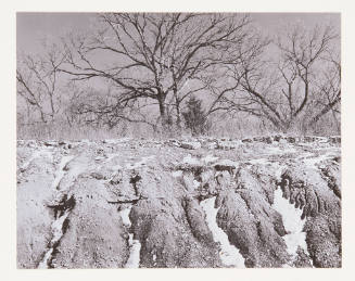 Untitled (eroded landscape with trees)