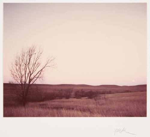 Untitled (Flinthills landscape at dusk)