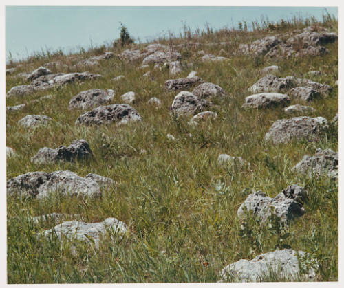 Untitled (rocks on hillside with tree in background)