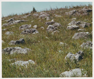 Untitled (rocks on hillside with tree in background)