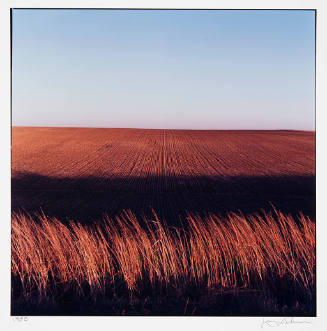 Grass/Winter Wheat, near Greensburg, Kansas, 1988