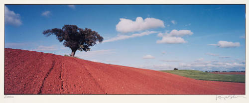 Red Earth near Salamanca, Spain, May 2000