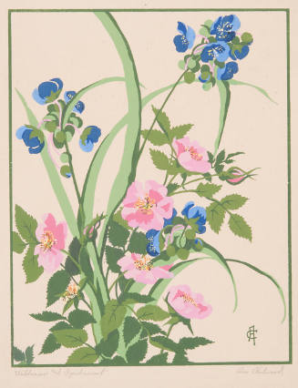 Wild Roses and Spiderwort