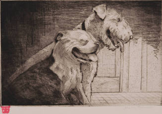 Title unknown (two dogs)