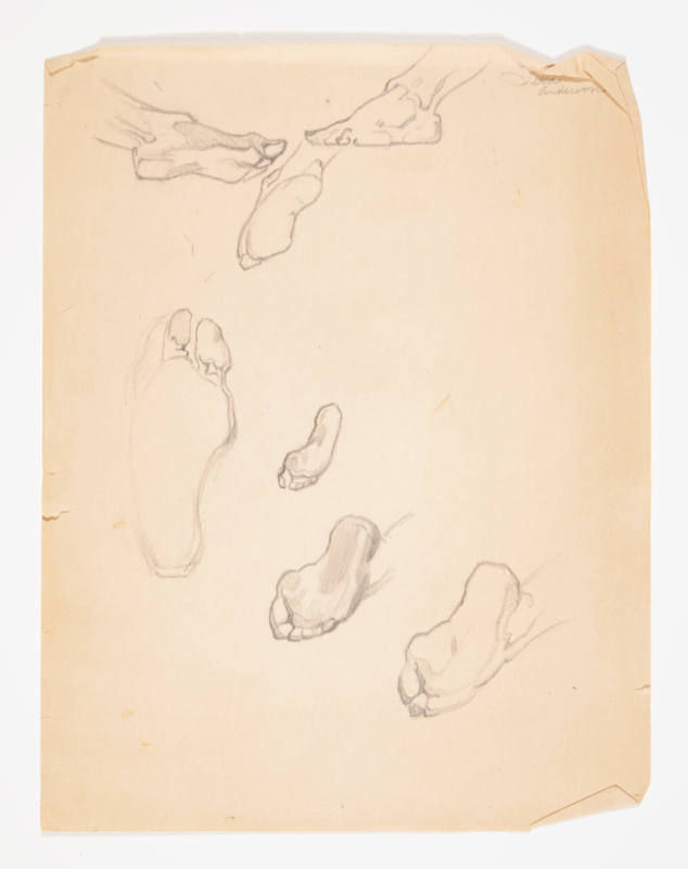 Studies of feet