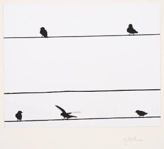 Untitled (birds on wire)