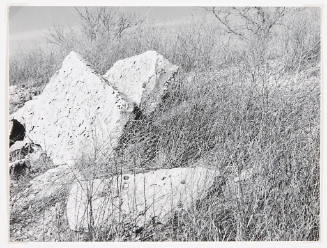 Untitled (rocks and grass)