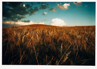 Ordway Prairie