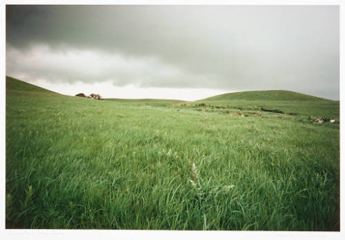 Green Storm; Konza Prairie