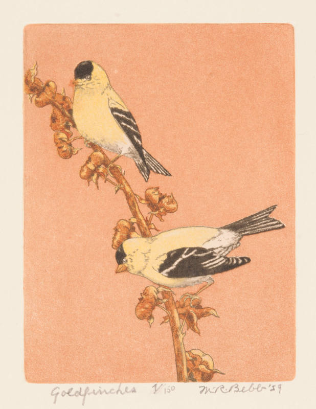 Goldfinches