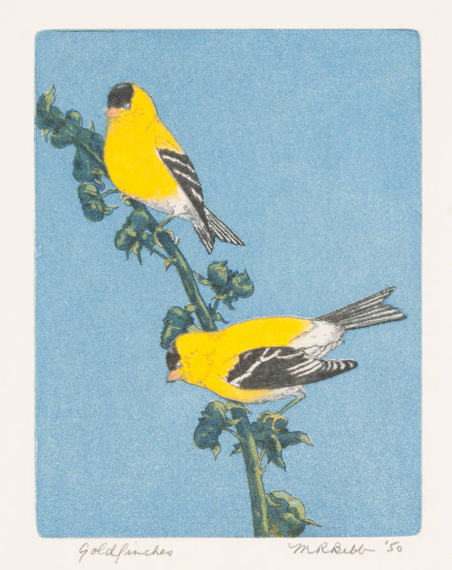 Goldfinches