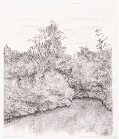 Untitled (trees by reflecting pool)