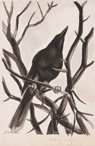 Untitled (black bird)