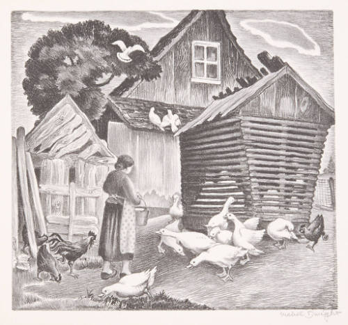 Farmyard