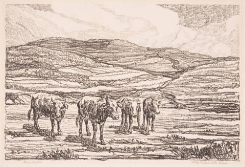 Hilly Pasture with Cows